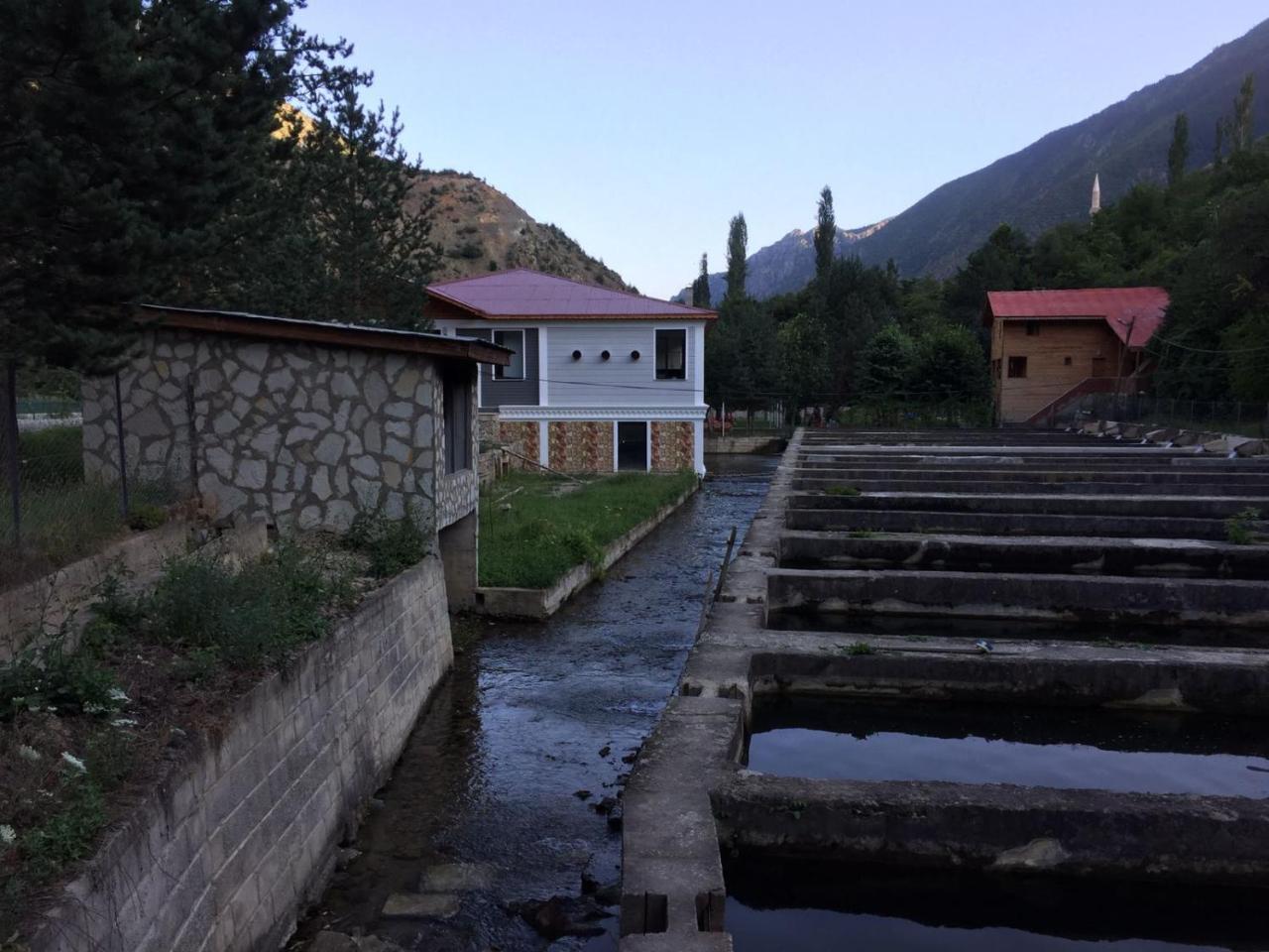 Agara Pansiyon Bostanci Buitenkant foto