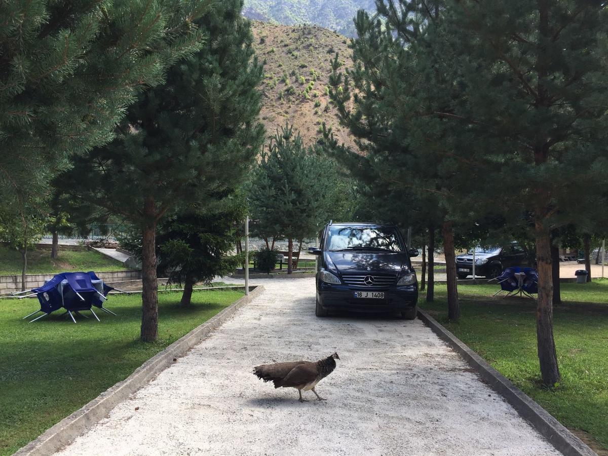 Agara Pansiyon Bostanci Buitenkant foto