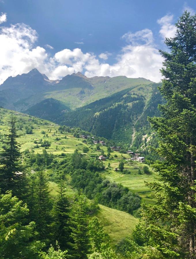 Agara Pansiyon Bostanci Buitenkant foto